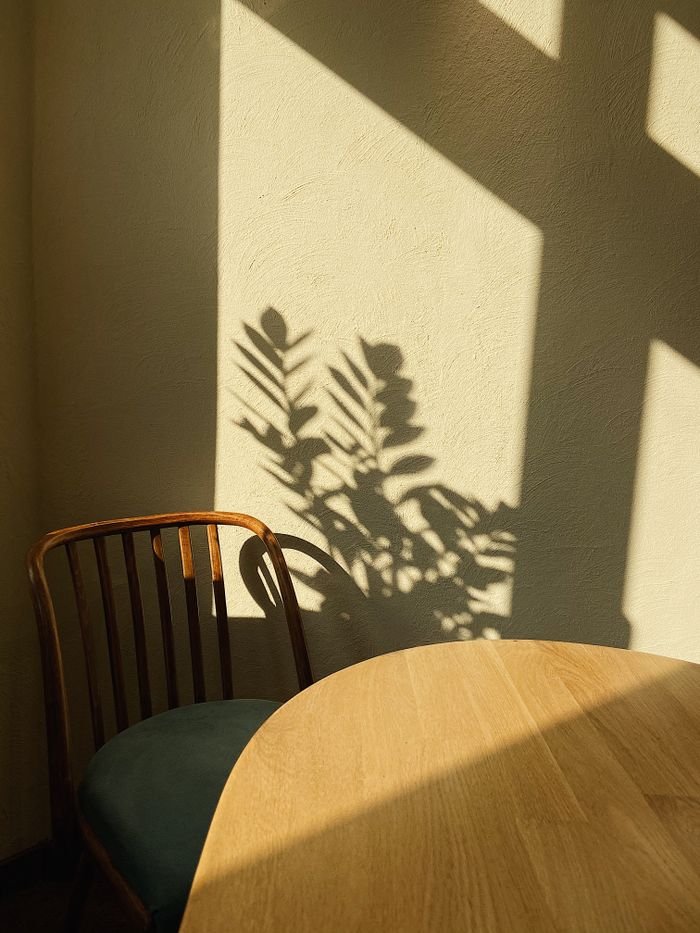 A tranquil indoor scene with sunlight casting plant shadows on the wall. Wooden chair and table included.