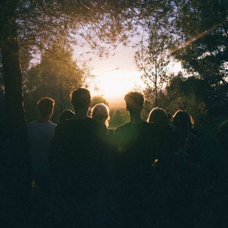A group of friends enjoying a scenic sunset in a forest, capturing a moment of togetherness.